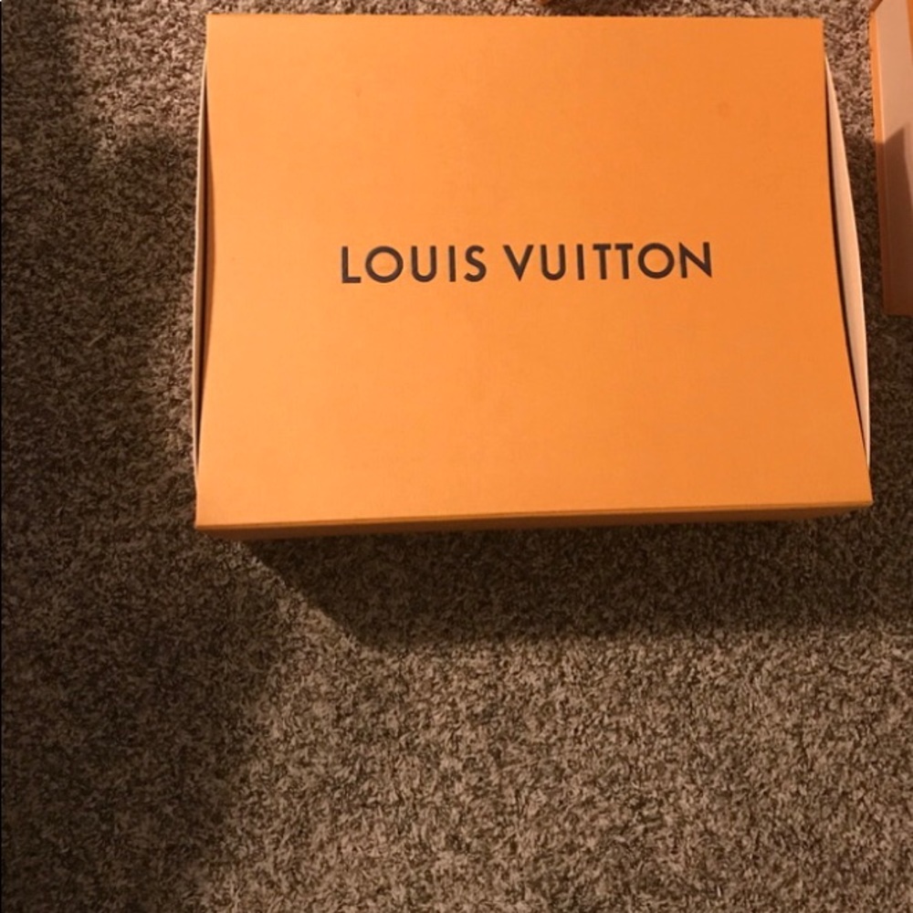 X-Large 20x15 sized Louis Vuitton Storage Box